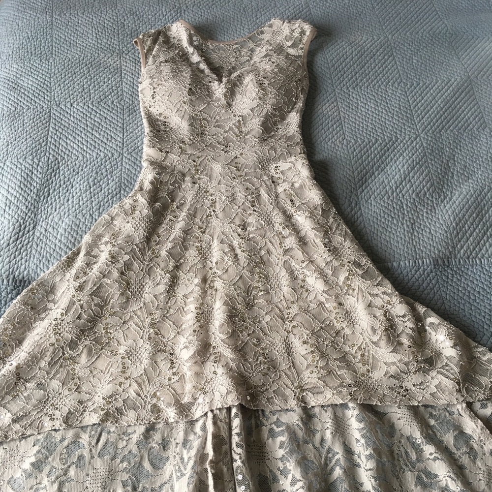 Silver Evening Gown with Lace Design